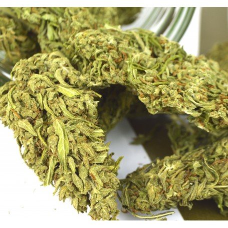buy Medical Marijuana and Cannabis Oil, CBD OIL, weed online