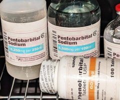 Nembutal online (pentobarbital sodium) for sale Pills, Liquid & powder